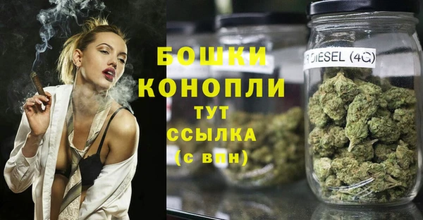 ПСИЛОЦИБИНОВЫЕ ГРИБЫ Абдулино