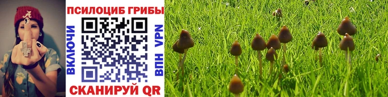 Галлюциногенные грибы GOLDEN TEACHER  гидра как войти  Новотроицк  сколько стоит 