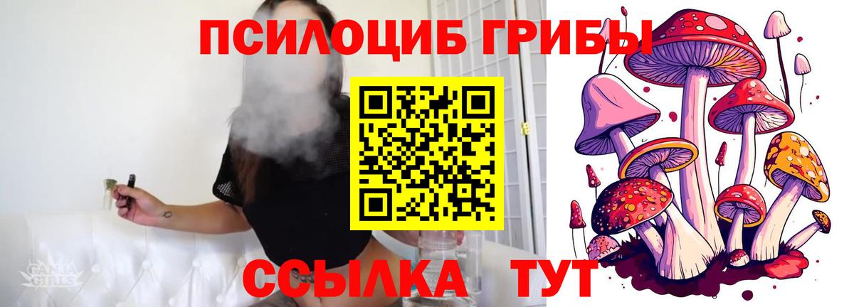 Галлюциногенные грибы GOLDEN TEACHER  Вход с VPN  Псилоцибиновые грибы GOLDEN TEACHER  Новотроицк 
