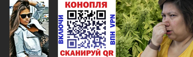 где найти   Новотроицк  Бошки марихуана сатива 